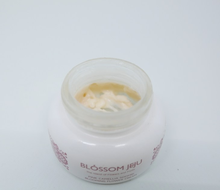 Bloosom Jeju Pink Camellia Soombi Blooming Cream